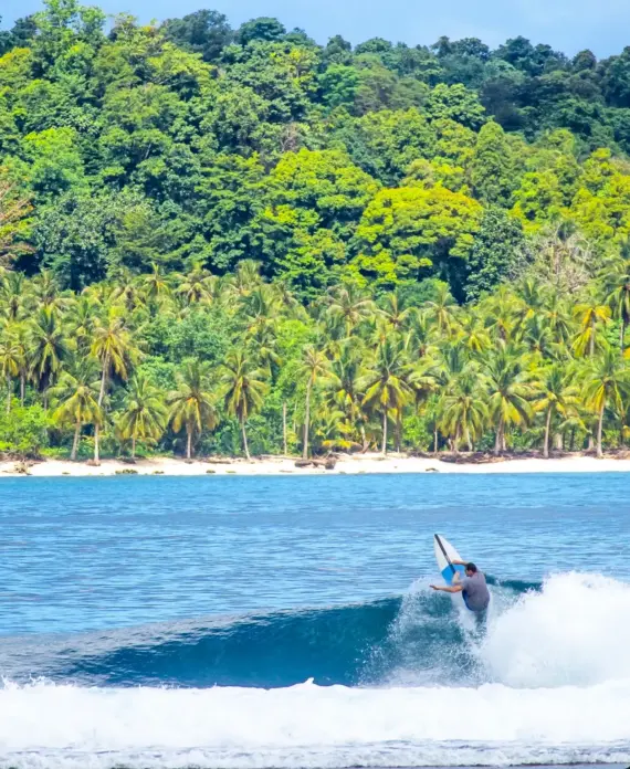 Surfing picture 6