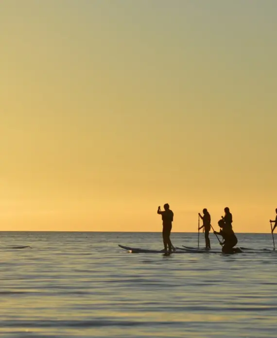 The Surf Shack-SUP-5