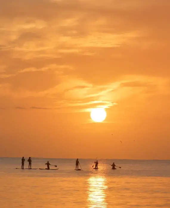 The Surf Shack-SUP