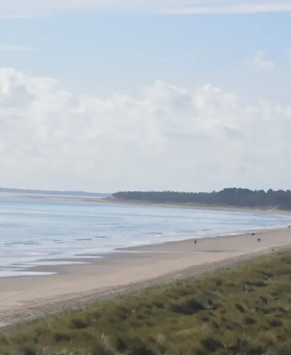 A sandy beach with gentle waves, bordered by grassy dunes and a distant tree line under a partly cloudy sky. A few people are walking along the shore.