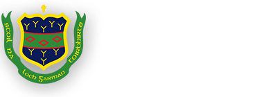 A shield-shaped school crest with yellow and green details, and Gaelic text, appears to the left of the words "Presentation Secondary School Wexford" on a light background.